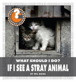 Library Binding What Should I Do? If I See a Stray Animal Book