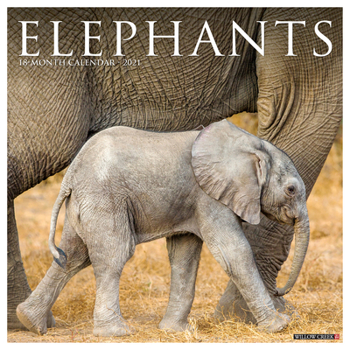 Elephants 2021 Wall Calendar