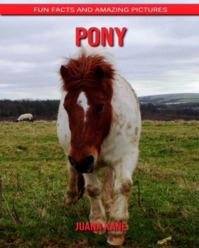 Pony: Fun Facts and Amazing Pictures