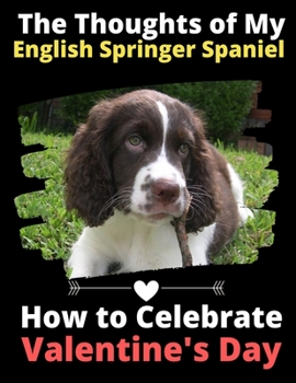 The Thoughts of My English Springer Spaniel: How to Celebrate Valentine's Day