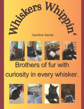 Whiskers Whippin': Basket Cats of Cuteness