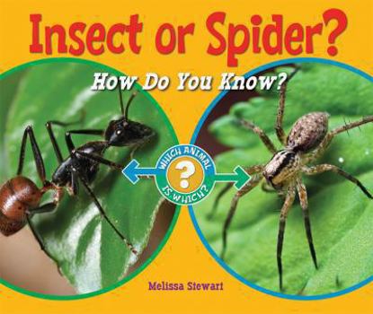 Library Binding Insect or Spider?: How Do You Know? Book