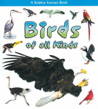 Paperback Birds of All Kinds Book