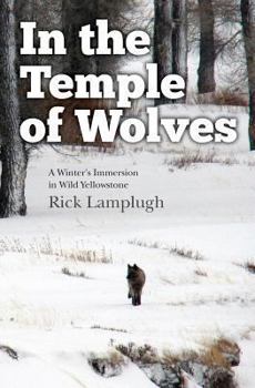 Paperback In the Temple of Wolves: A Winter's Immersion in Wild Yellowstone Book