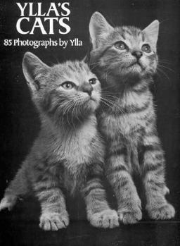 Paperback Ylla's Cats: 85 Photographs Book