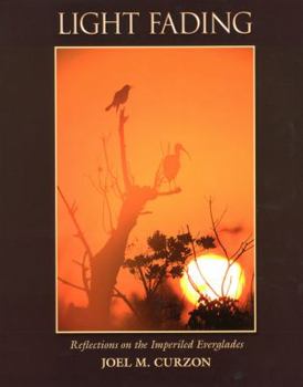 Hardcover Light Fading: Reflections on the Imperiled Everglades Book