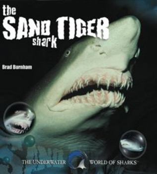 Library Binding The Sand Tiger Shark Book