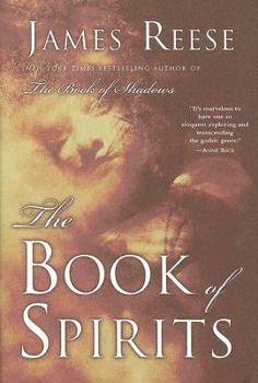 Hardcover The Book of Spirits Book