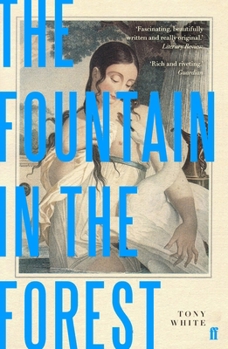 Paperback Fountain In The Forest Book