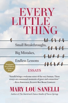 Paperback Every Little Thing: Small Breakthroughs, Big Mistakes, Endless Lessons Book