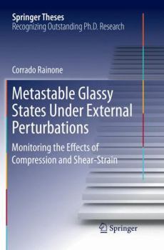 Paperback Metastable Glassy States Under External Perturbations: Monitoring the Effects of Compression and Shear-Strain Book