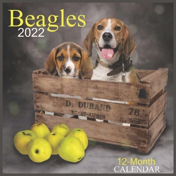 Paperback Calendar 2022 Beagles 12-Month: Official Calendar 2022 Beagle Dogs, Animals Dogs Breeds, Square 2022 Calendar,12 month Calendar 2022 Book