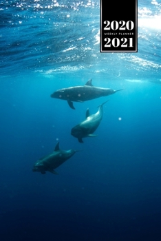 Dolphin Beluga Whale Porpoise Dolphinfish Week Planner Weekly Organizer Calendar 2020 / 2021 - Sunrays: Cute Wildlife Animal Pet Bullet Journal Notebook Diary in 6” x 9” Inch Pocket Size