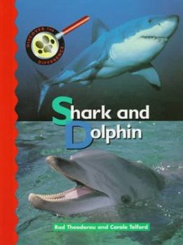 Hardcover Shark and Dolphin Book