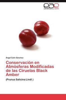 Paperback Conservación en Atmósferas Modificadas de las Ciruelas Black Amber [Spanish] Book