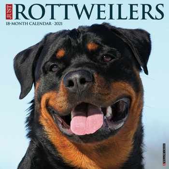 Calendar Just Rottweilers 2021 Wall Calendar (Dog Breed Calendar) Book