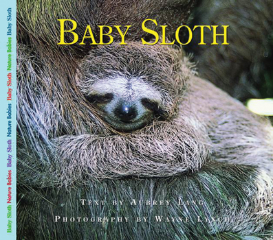 Paperback Baby Sloth Book