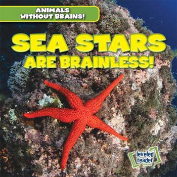 Library Binding Sea Stars Are Brainless! Book