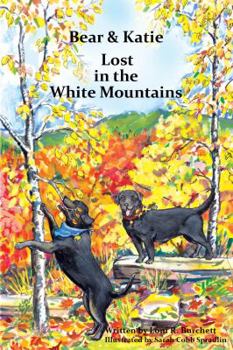 Perfect Paperback Bear and Katie Lost in the White Mountains Book