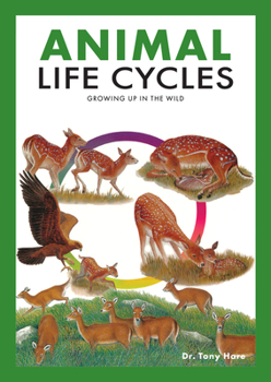 Paperback Animal Life Cycles: Discovering How Animals Live in the Wild Book