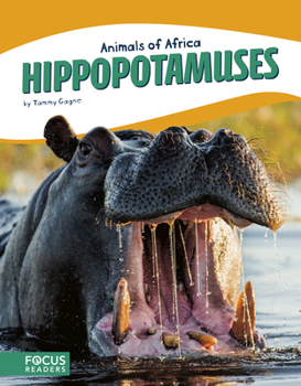 Paperback Hippopotamuses Book