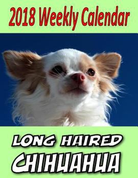 2018 Weekly Calendar Longhaired Chihuahua