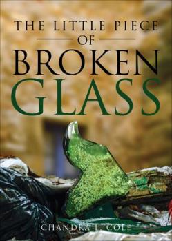 Paperback The Little Piece of Broken Glass Book