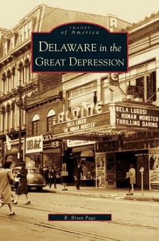Hardcover Delaware in the Great Depression Book
