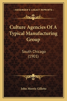 Culture Agencies Of A Typical Manufacturing Group: South Chicago