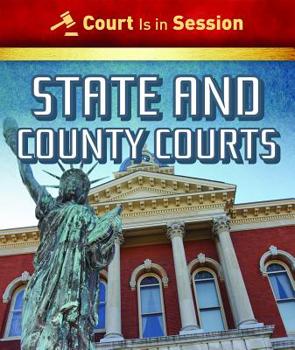 Paperback State and County Courts Book