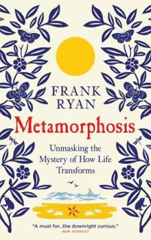 Paperback Metamorphosis: Unmasking the Mystery of How Life Transforms Book