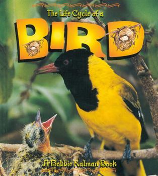 Paperback The Life Cycle of a Bird Book