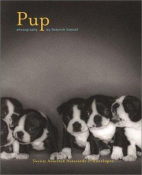 Pup : Notecards