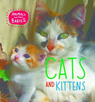 Hardcover Cats and Kittens Book
