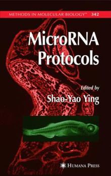 MicroRNA Protocols - Book #342 of the Methods in Molecular Biology