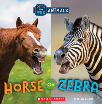 Hardcover Horse or Zebra (Wild World: Pets and Wild Animals) Book