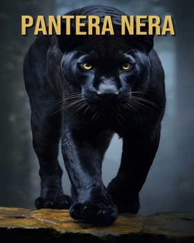 Paperback Pantera nera: Divertenti e Interessanti Curiosità e Immagini sui Pantera nera [Italian] Book