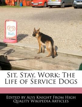 Sit, Stay, Work : The Life of Service Dogs