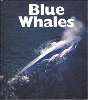 Library Binding Blue Whales Book