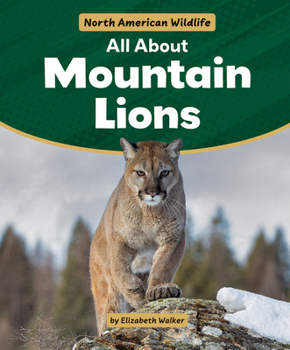 All about Mountain Lions