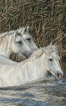 Paperback Notebook: horses mane mare horse mammals nature white Book