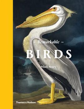 Hardcover Remarkable Birds Book