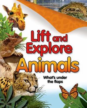 Board book Lift and Explore: Animals Book