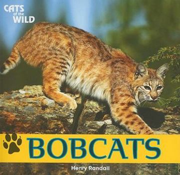 Paperback Bobcats Book