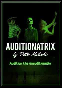 Paperback Auditionatrix: Audition the Unauditionable (The Audition Series) Book