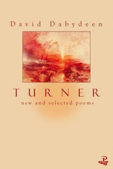 Paperback Turner: New and Selected Poems Book