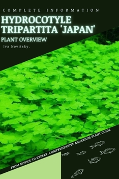 Hydrocotyle tripartita 'Japan': From Novice to Expert. Comprehensive Aquarium Plants Guide