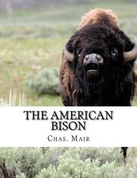 Paperback The American Bison: Its Habits, Method of Capture and Economic Use In The North West Book