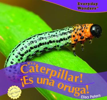 Library Binding It's a Caterpillar! / ¡Es Una Oruga! Book