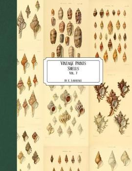 Paperback Vintage Prints: Shells: Vol. 7 Book